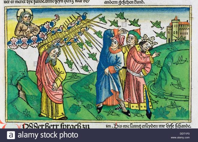 exode-101-20-le-fleau-des-sauterelles-lune-des-sept-plaies-degypte-artiste-inconnu-ddt1p3