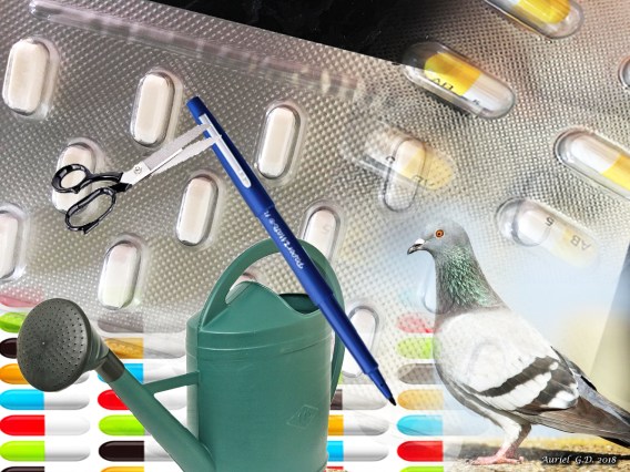 Montage WordPress1 def