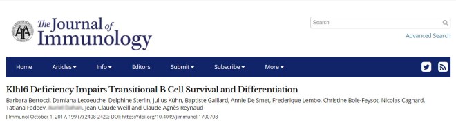 F06-10-2019 15-08-14