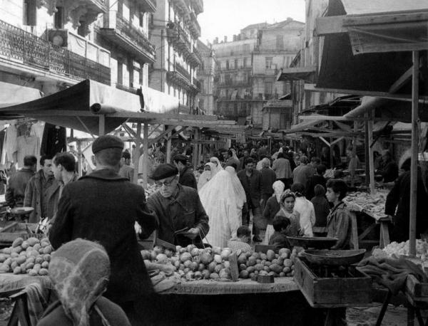 divers_autres_photos-tn-photo-180